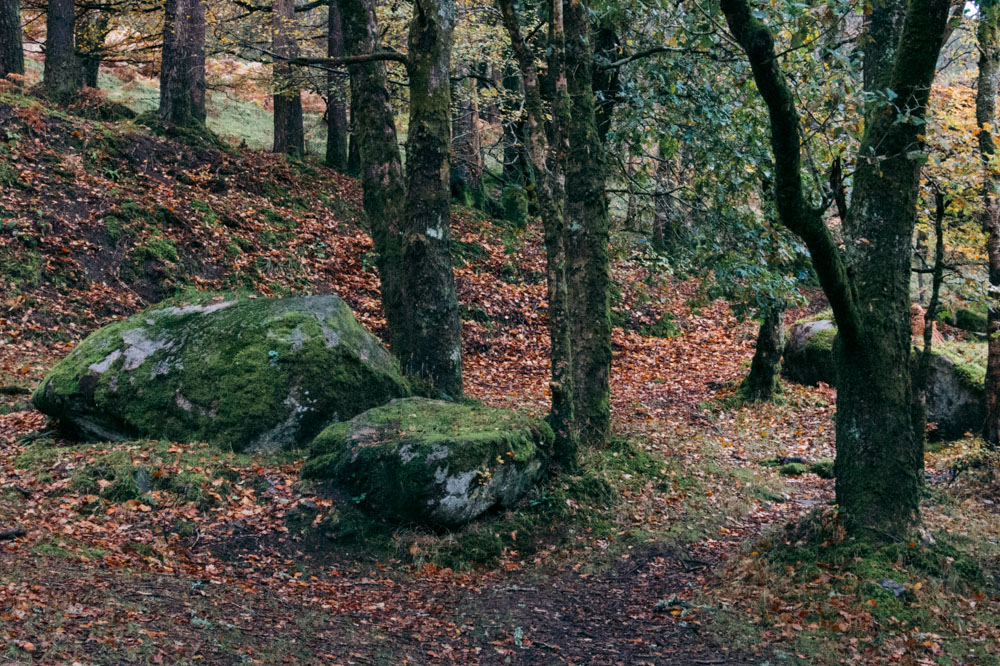 Visit Poulanass Waterfall in Glendalough, Ireland - Roads and Destinations