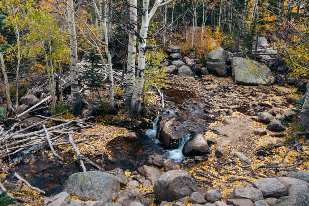 Alberta Falls Hike, Colorado --- Roads and Destinations