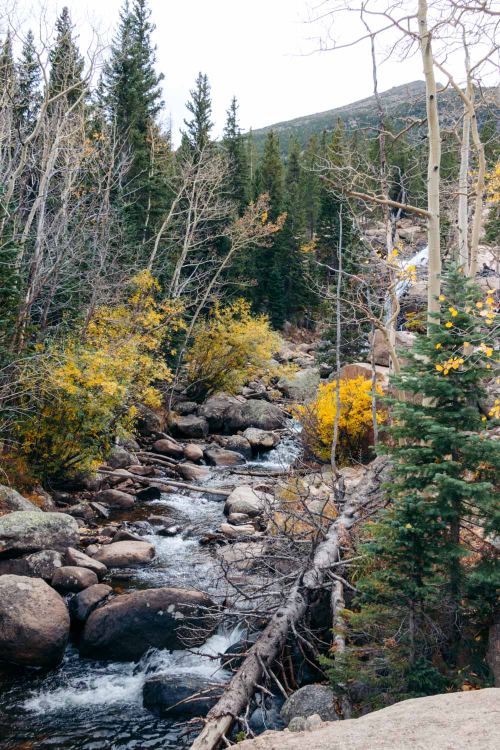 Alberta Falls Hike, Colorado - Roads and Destinations