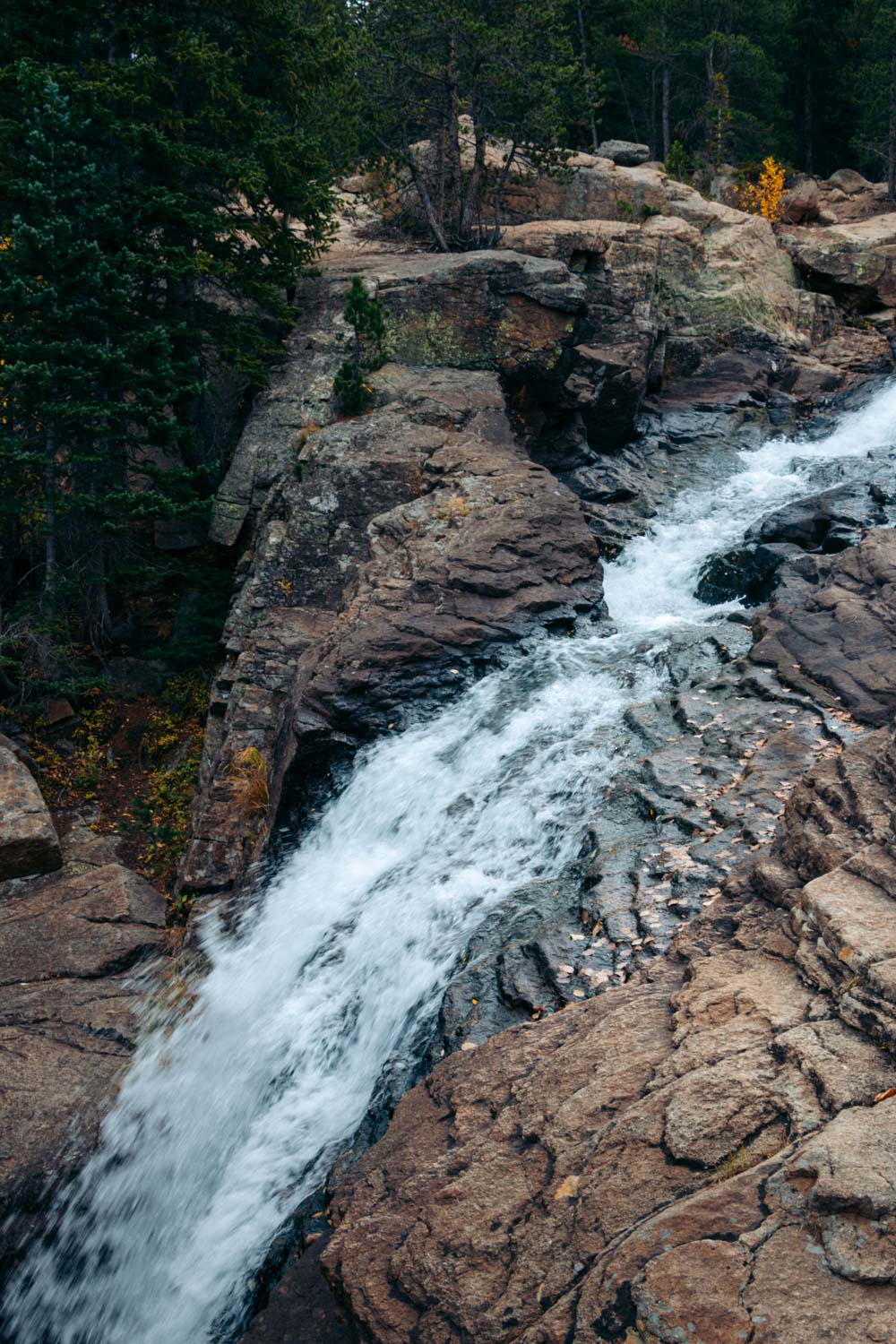 Alberta Falls Hike, Colorado - Roads and Destinations