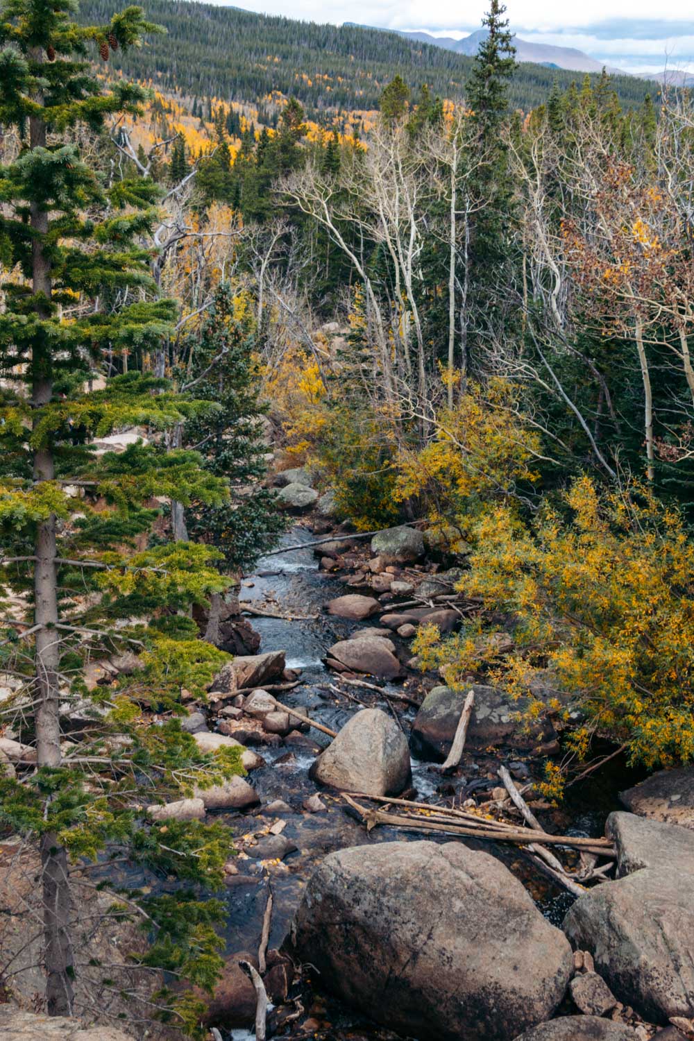 Alberta Falls Hike, Colorado - Roads and Destinations