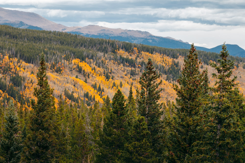 Alberta Falls Hike, Colorado - Roads and Destinations