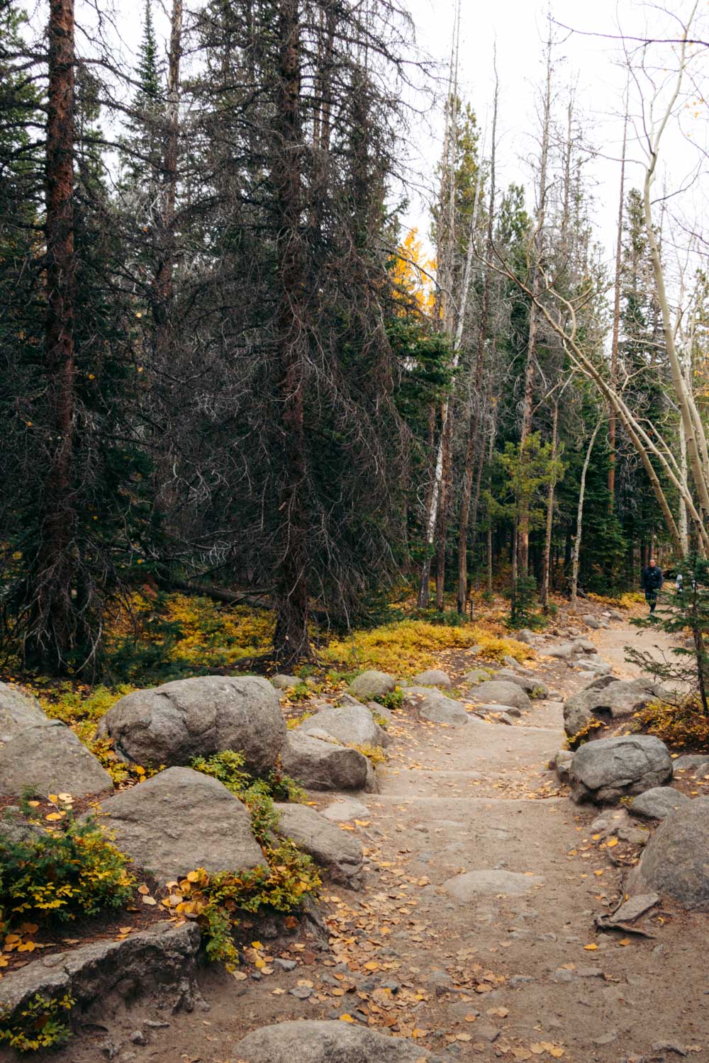 Albera Falls Hike, Colorado --- Roads and Destinations