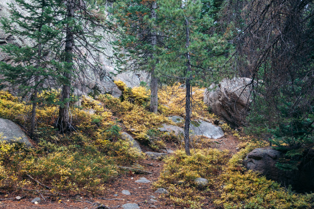 Alberta Falls Hike, Colorado --- Roads and Destinations