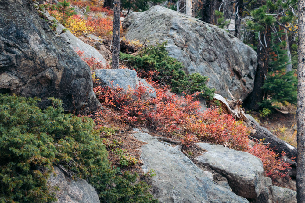 Alberta Falls Hike, Colorado - Roads and Destinations