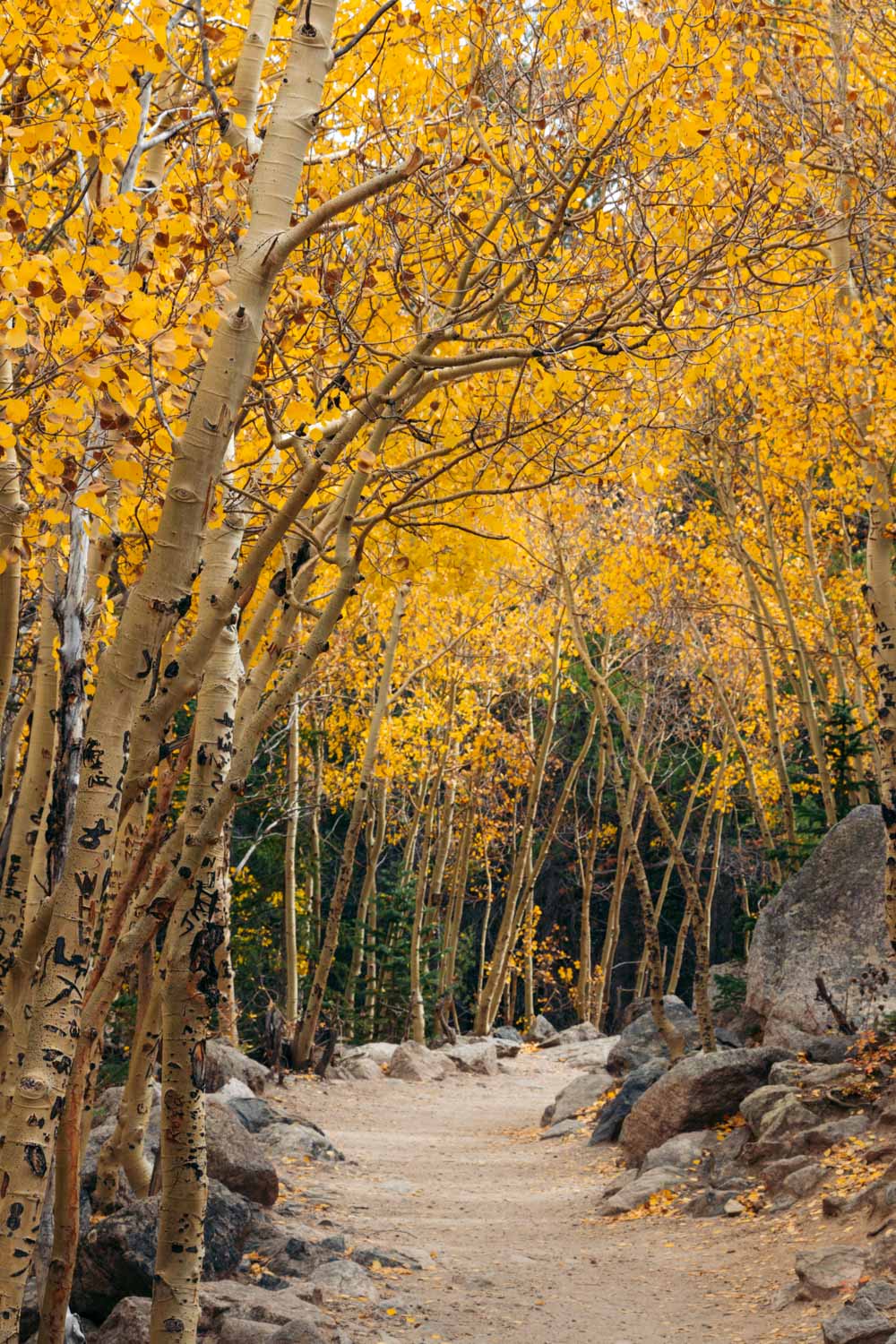 Albera Falls Hike, Colorado --- Roads and Destinations