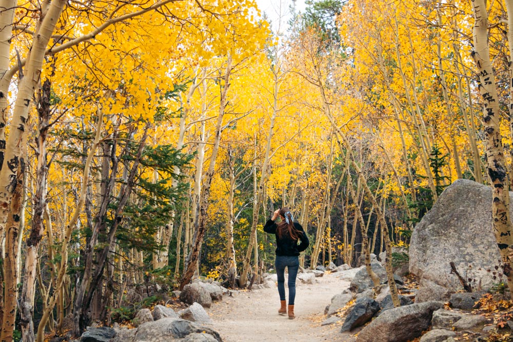 Alberta Falls Hike, Colorado --- Roads and Destinations