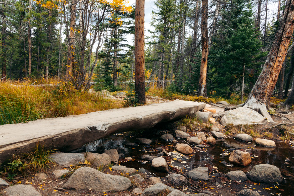 Alberta Falls Hike, Colorado - Roads and Destinations