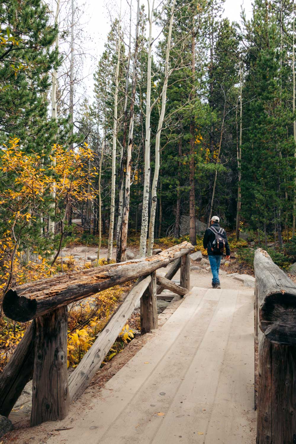 Albera Falls Hike, Colorado --- Roads and Destinations