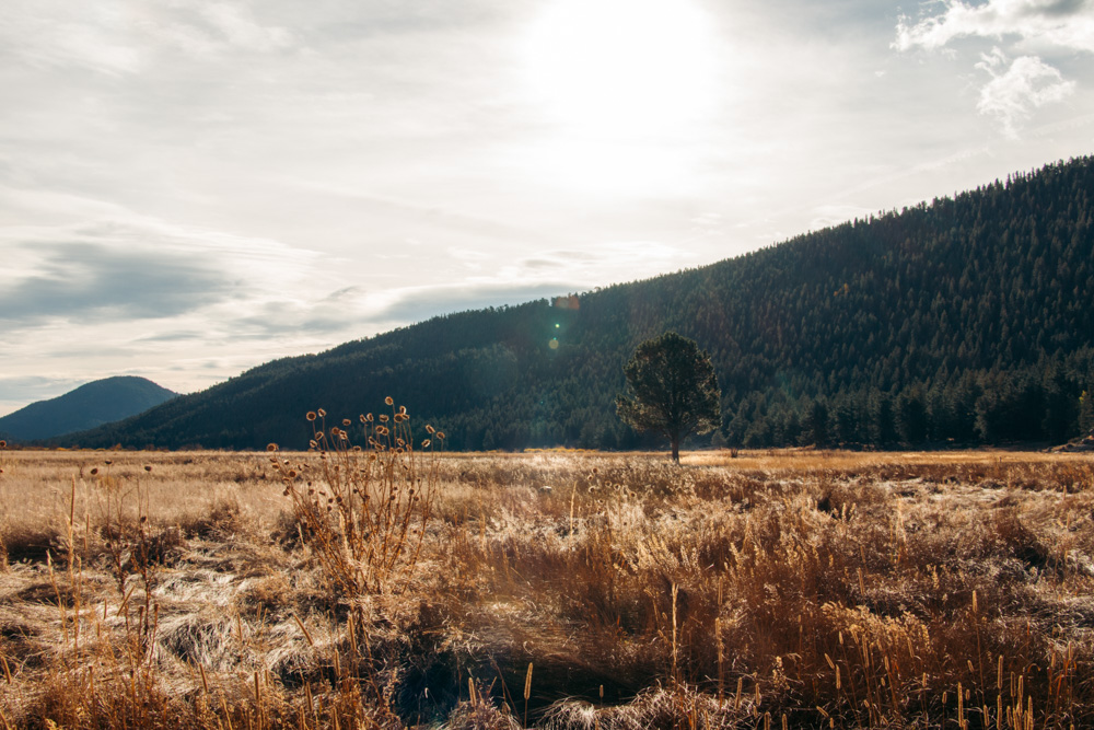 Cub Lake Hike - Roads and Destinations