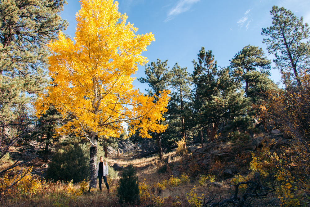 Colorado - Roads and Destinations