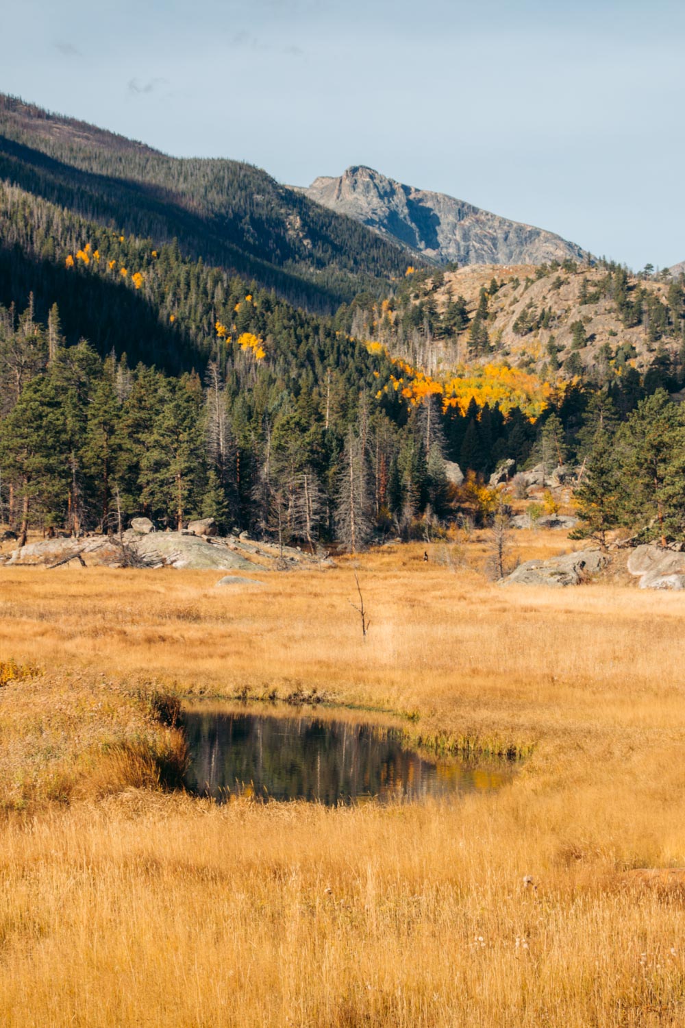 Cub Lake Hike - Roads and Destinations