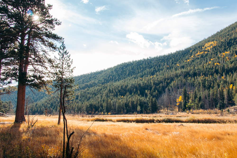 Cub Lake Hike - Roads and Destinations