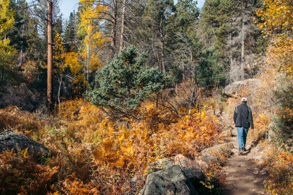 Cub Lake Hike - Roads and Destinations