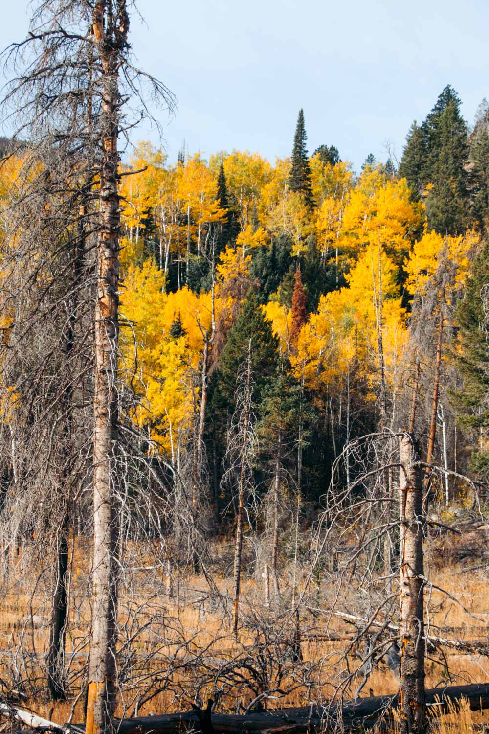 Colorado - Roads and Destinations