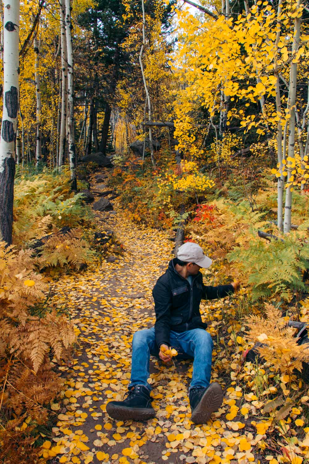 Cub Lake Hike - Roads and Destinations