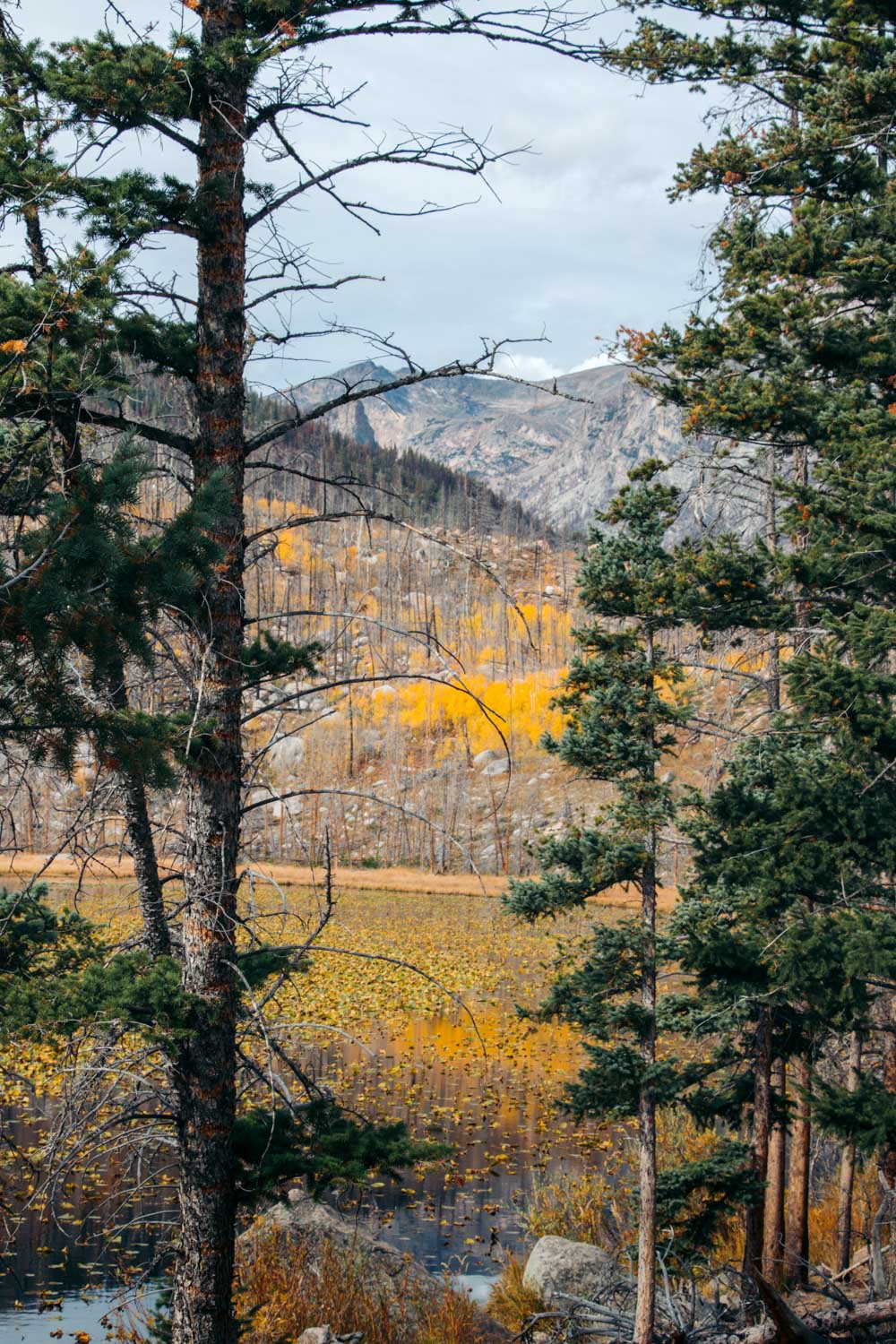 Colorado - Roads and Destinations