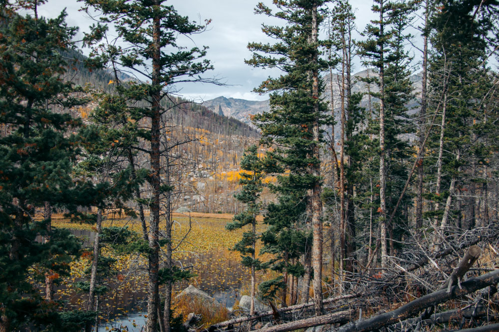 Colorado - Roads and Destinations