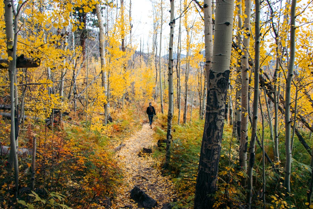 Cub Lake Hike - Roads and Destinations