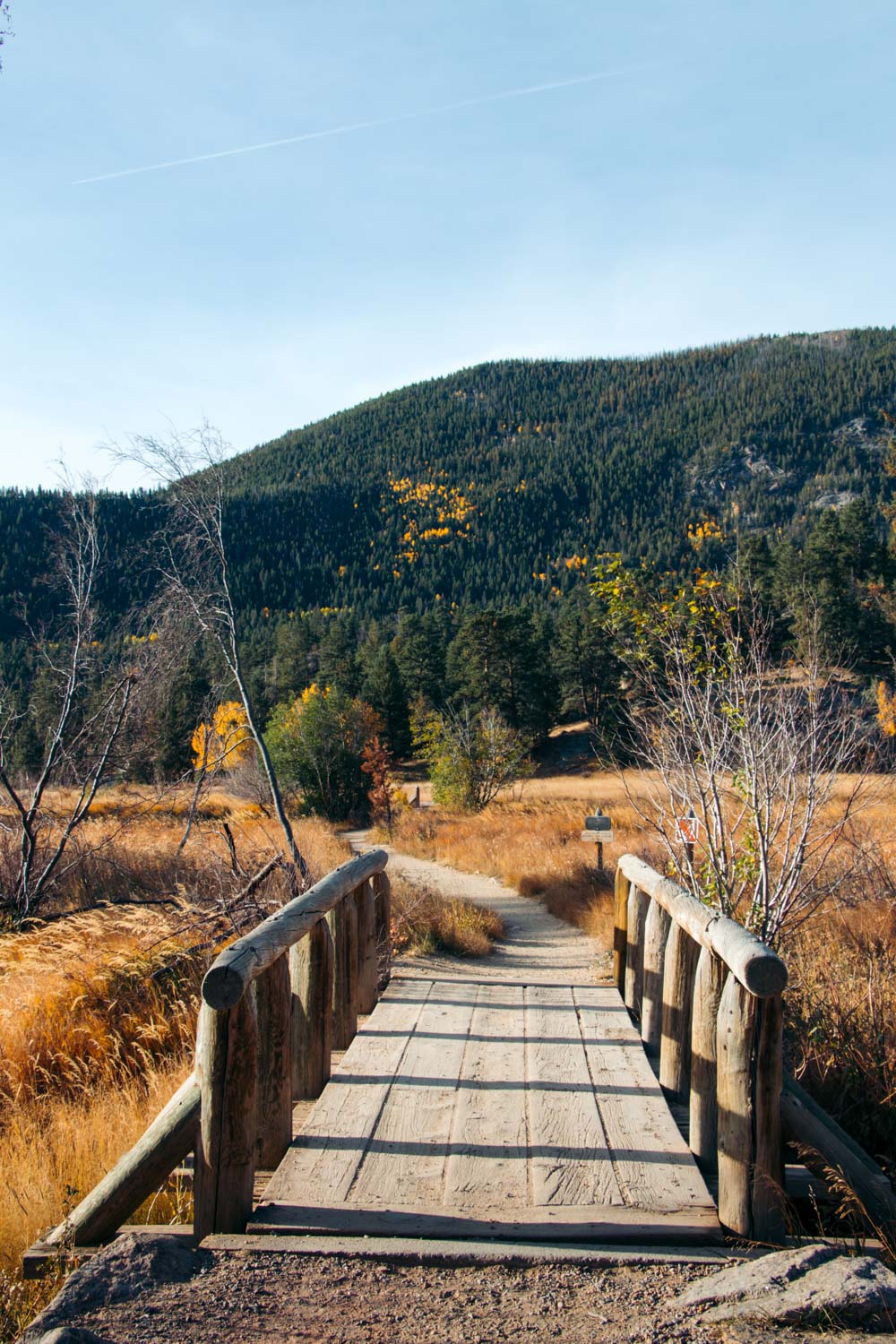 Cub Lake Hike - Roads and Destinations