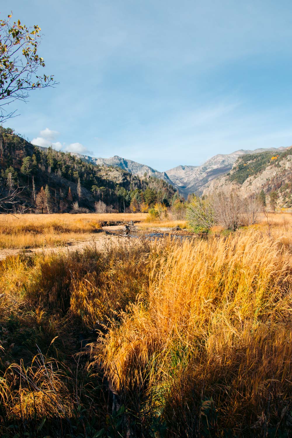 Cub Lake Hike - Roads and Destinations