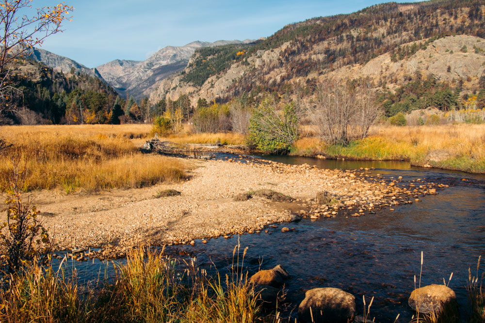 Cub Lake Hike - Roads and Destinations