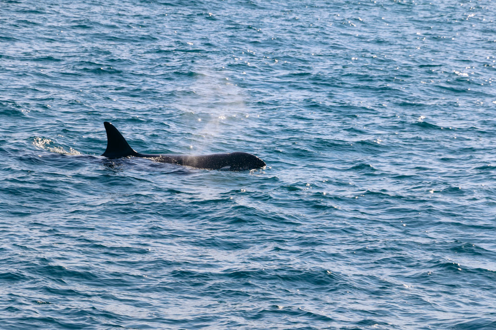 Visit Kenai Fjords National Park --- Roads and Destinations