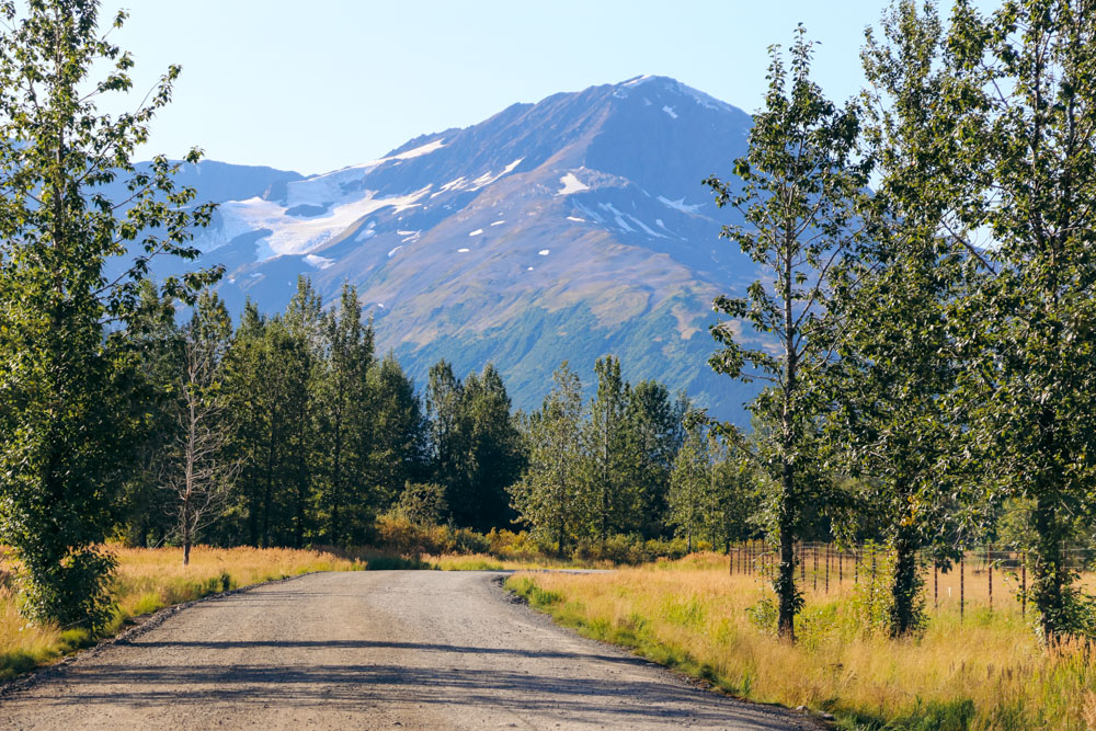 Visit the Alaska Wildlife Conservation Center. - Roads and Destinations