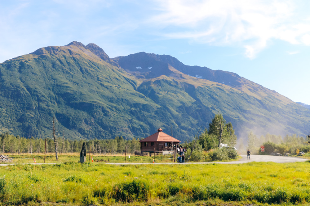 Visit the Alaska Wildlife Conservation Center. - Roads and Destinations