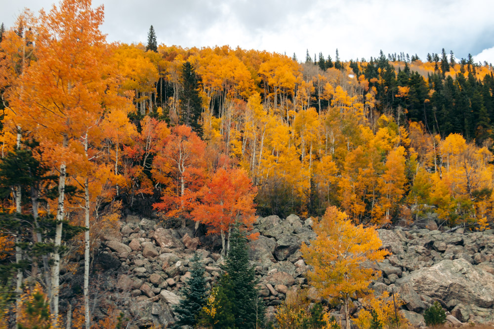 2 Days in Rocky Mountain National Park in Fall - Roads and Destinations