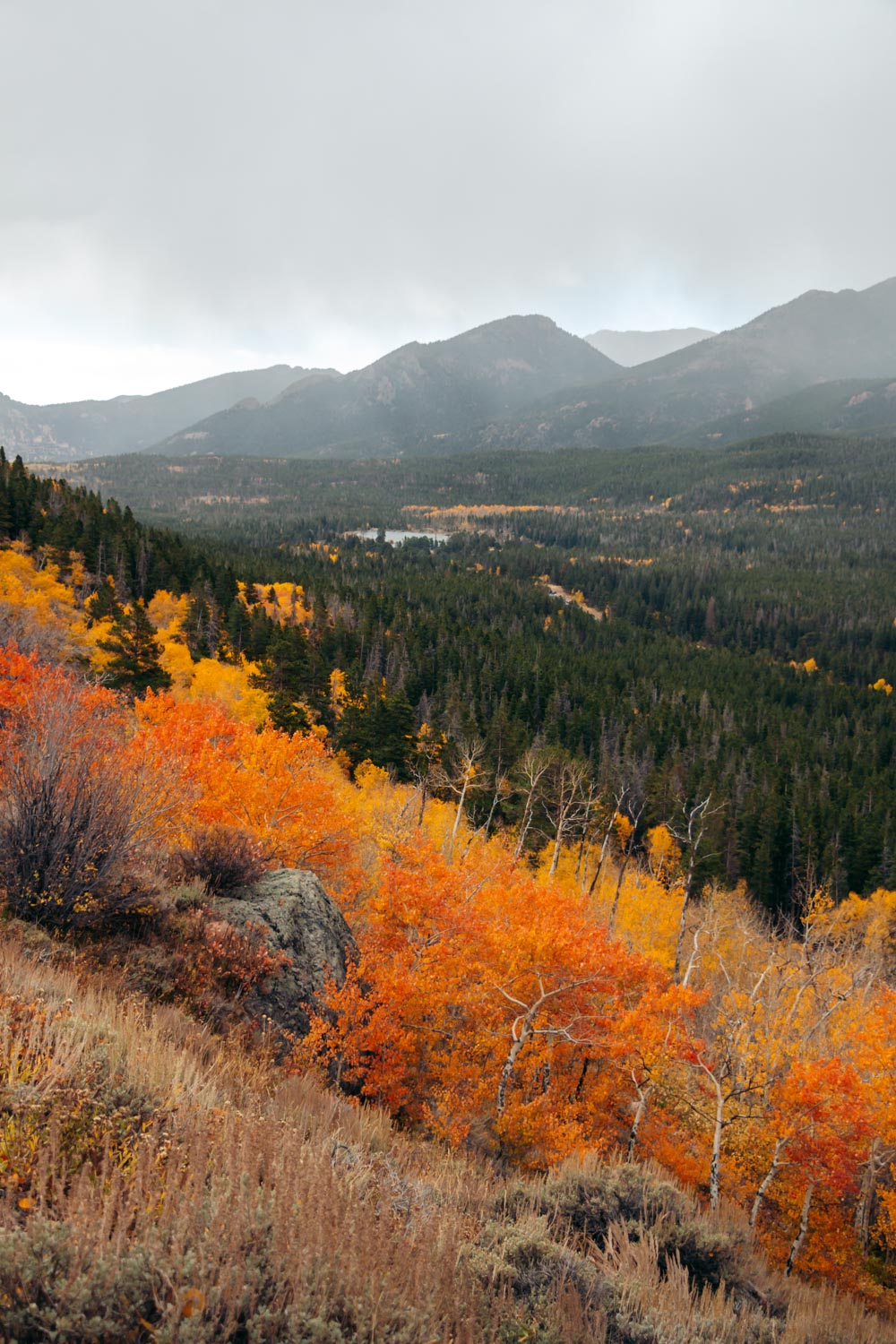 2 Days in Rocky Mountain National Park in Fall - Roads and Destinations