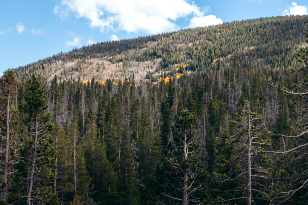 Bierstadt Lake Trail hike - Roads and Destinations.