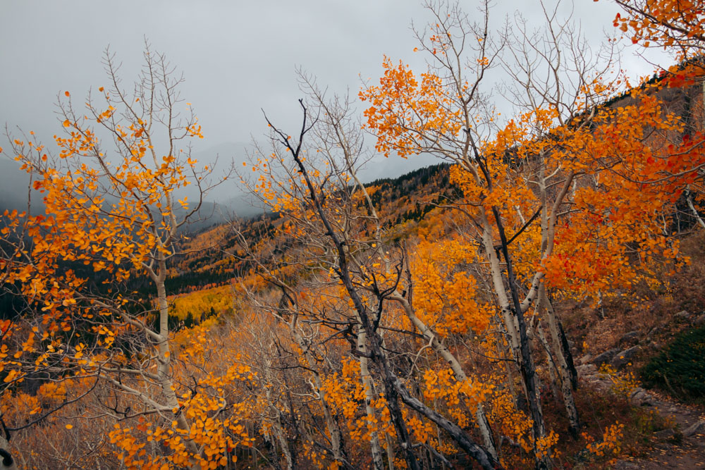 Bierstadt Lake Trail hike - Roads and Destinations