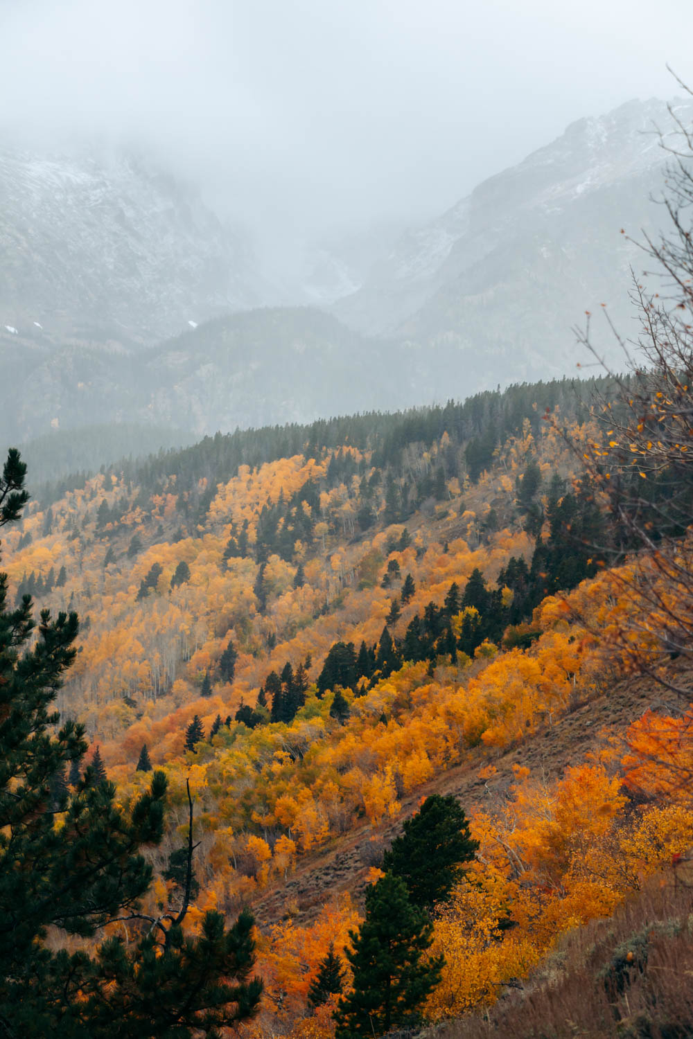 Bierstadt Lake Trail hike - Roads and Destinations