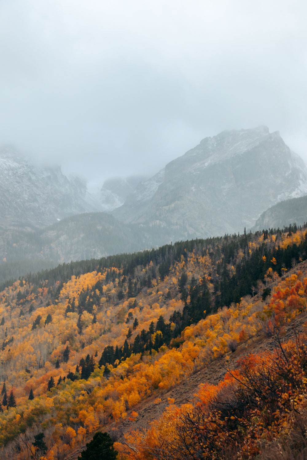 Bierstadt Lake Trail hike - Roads and Destinations