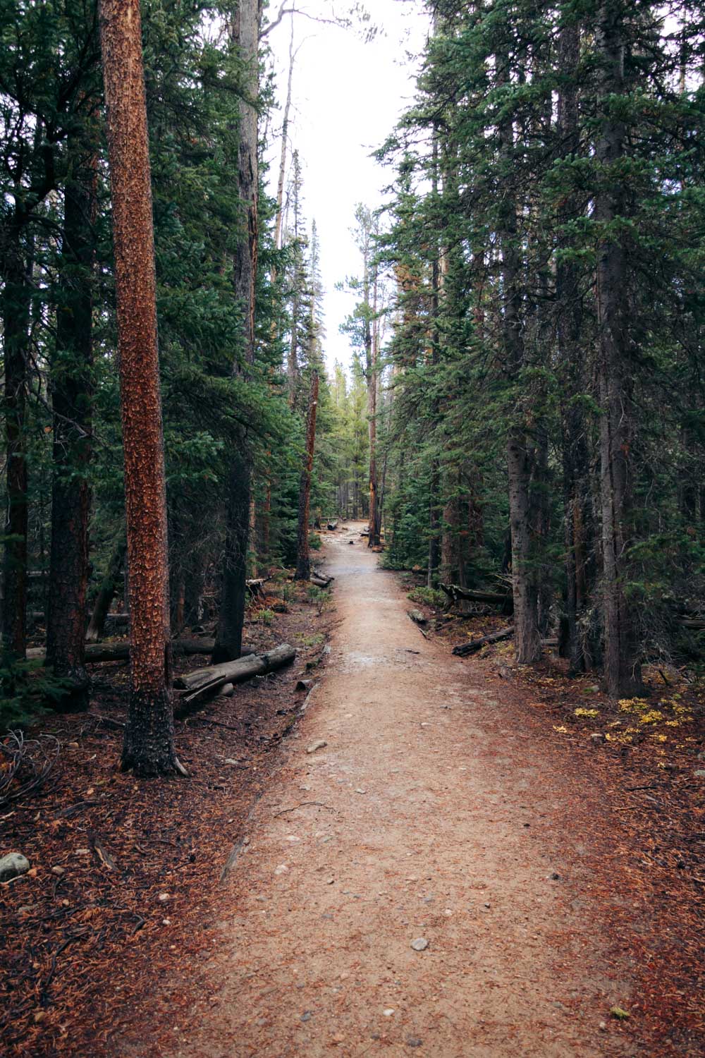 Bierstadt Lake Trail hike - Roads and Destinations