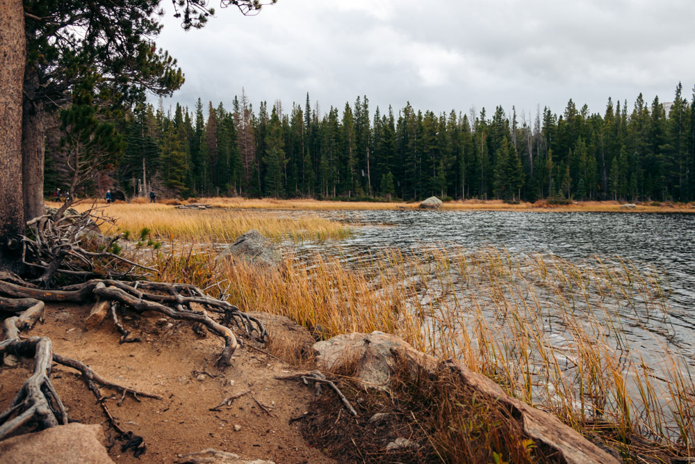 Bierstadt Lake Trail hike - Roads and Destinations.