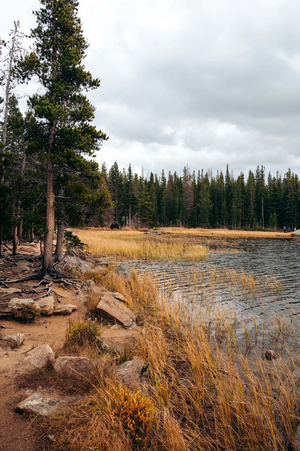 Bierstadt Lake Trail hike - Roads and Destinations