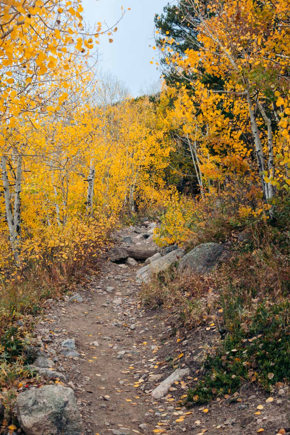 Colorado - Roads and Destinations