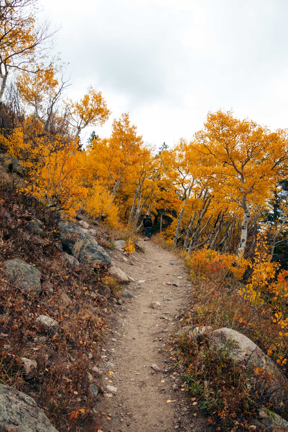 Bierstadt Lake Trail hike - Roads and Destinations