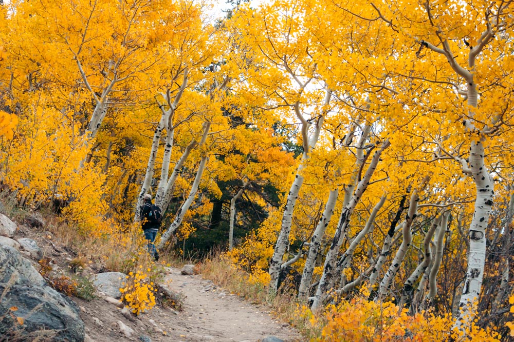 Bierstadt Lake Trail hike - Roads and Destinations