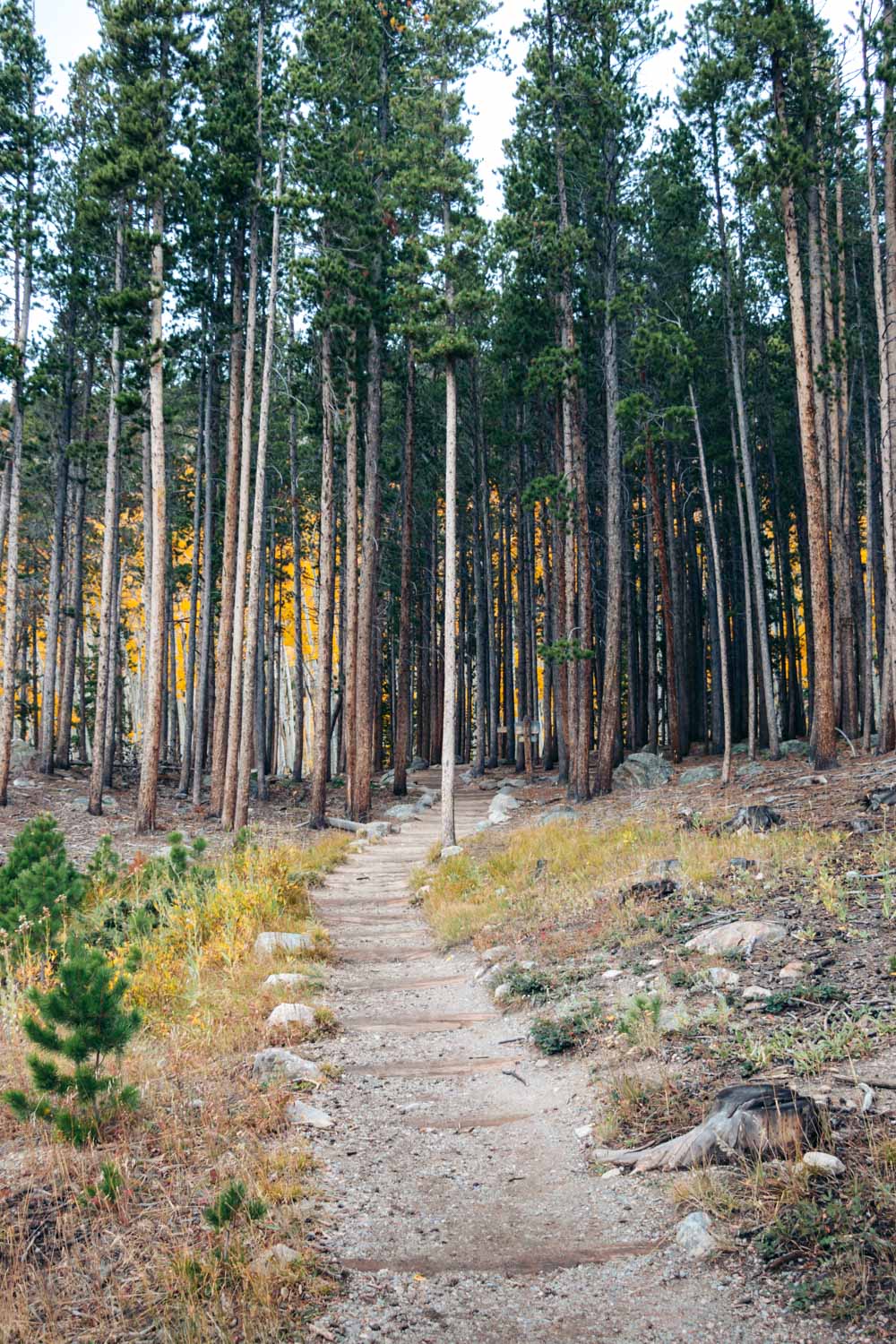 Bierstadt Lake Trail hike - Roads and Destinations