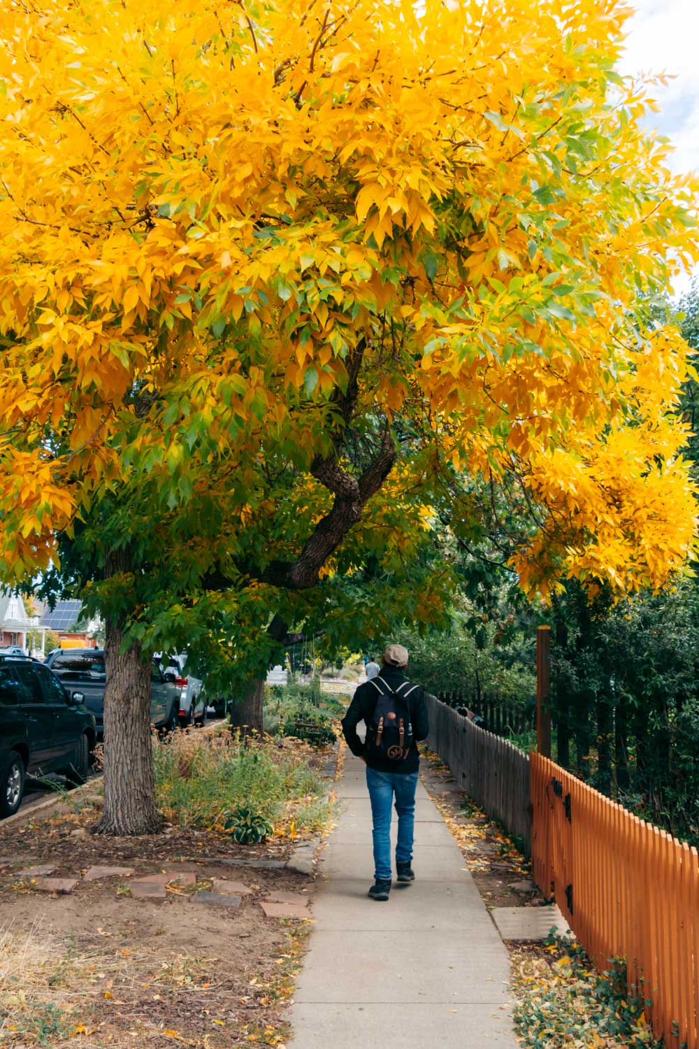 Urban Colorado - Roads and Destinations