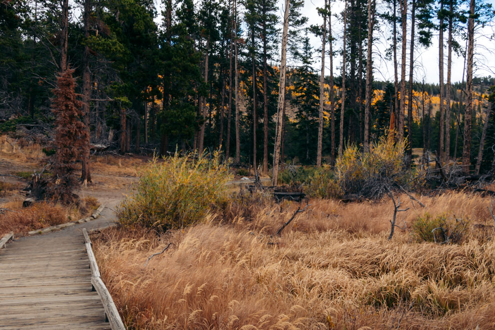 Sprague Lake Hike - Roads and Destinations