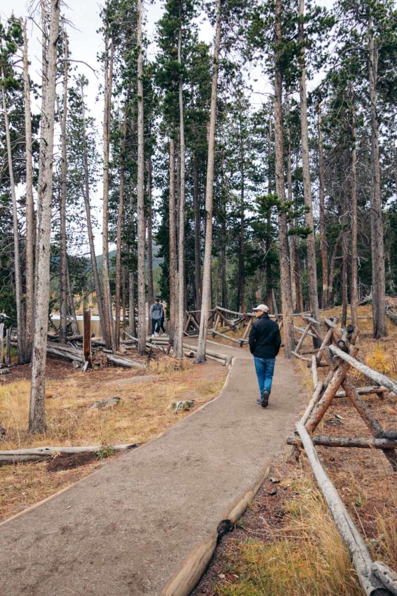 Sprague Lake Trail Easy Hike in Rocky Mountain National Park (+Photos