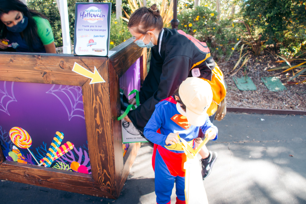 Reasons to visit SeaWorld San Diego, Halloween - Roads and Destinations