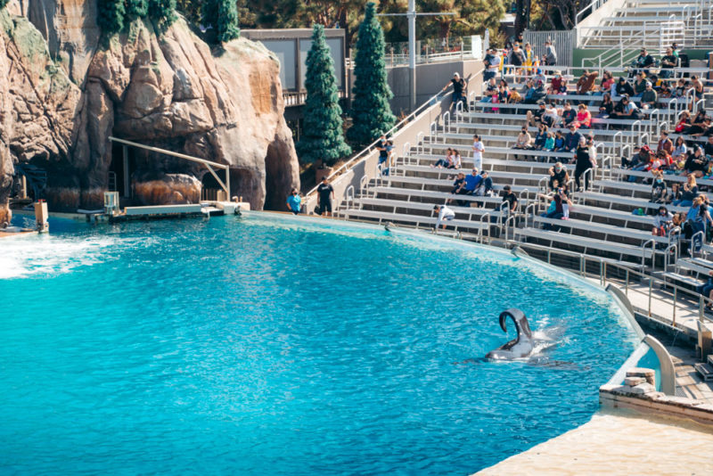 seaworld-san-diego-reasons-to-visit-and-skip-it-roads-and-destinations
