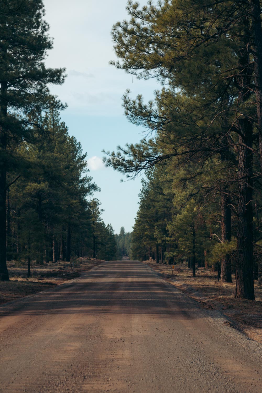 Northern Arizona - Roads and Destinations