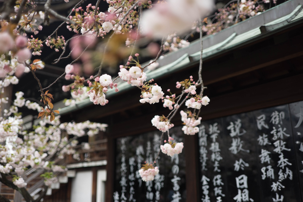 Books to read before traveling to Japan - Roads and Destinations