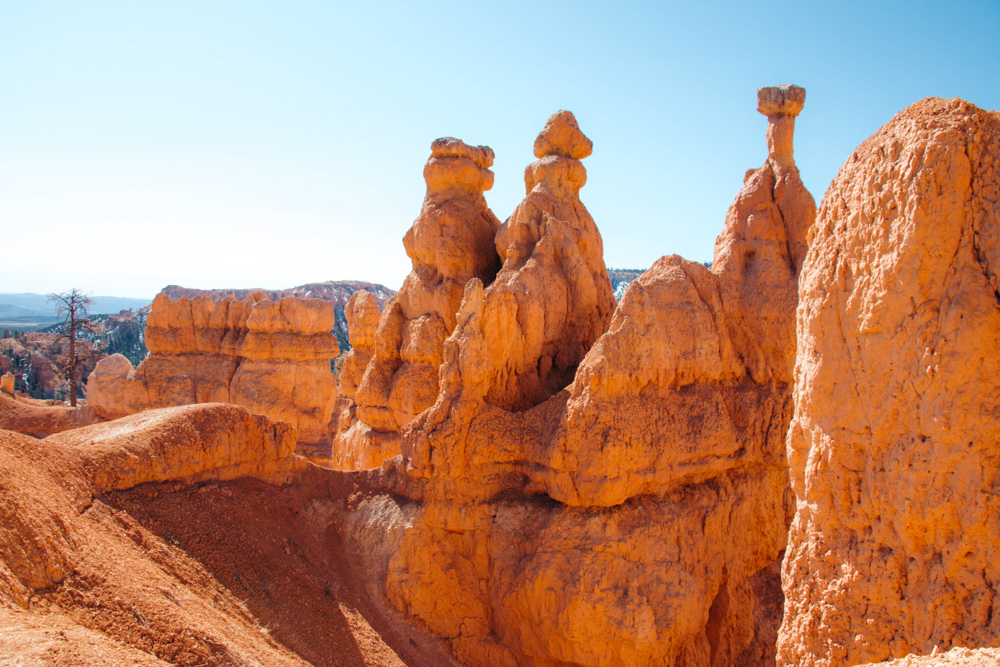 One Day in Bryce Canyon National Park - - Roads and Destinations